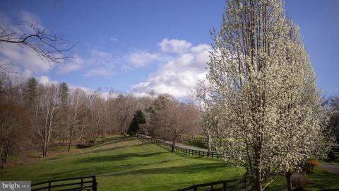 9587 Obannons Mill Rd, Boston, VA 22713 photo 60