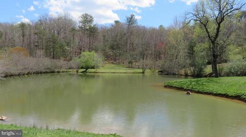 9587 Obannons Mill Rd, Boston, VA 22713 photo 66