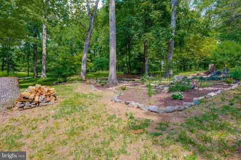 42 Blossom Lake Ln, Castleton, VA 22716 photo 6