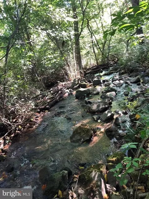 16 Pointer Ridge Ln, Washington, VA photo 30