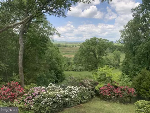 252 Castle Mountain Rd, Castleton, VA 22716 photo 54