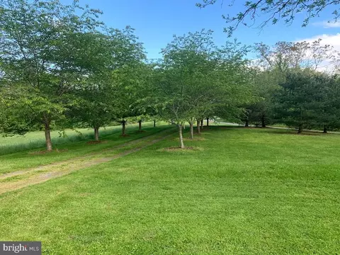 7 Rhododendron Ln, Castleton, VA 22716 photo 59