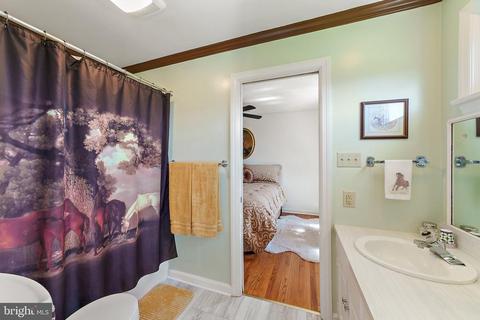 4 Windsor Lodge Ln, Flint Hill, VA 22627 photo 60