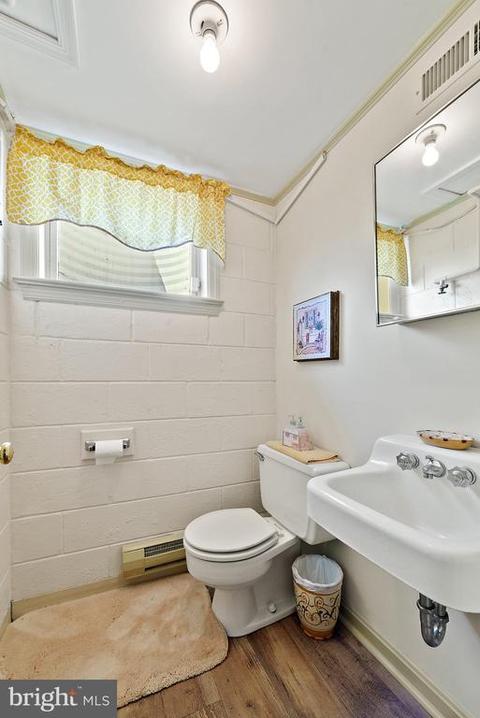 4 Windsor Lodge Ln, Flint Hill, VA 22627 photo 67