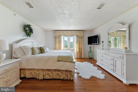 4 Windsor Lodge Ln, Flint Hill, VA 22627 photo 51