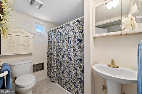 4 Windsor Lodge Ln, Flint Hill, VA 22627 photo 68