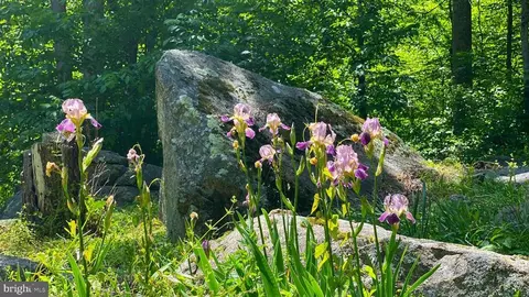 0 Old Hollow Rd, Sperryville, VA 22740