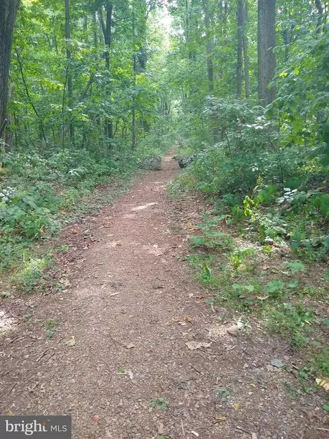 135 Apache Trl, Chester Gap, VA 22623 photo 38