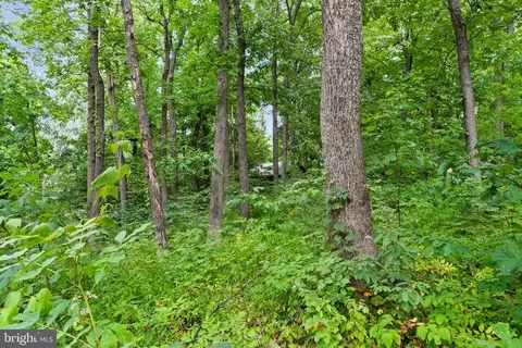 135 Apache Trl, Chester Gap, VA 22623 photo 39