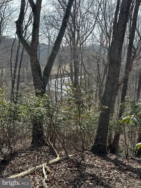 262 Castleton Ford Rd, Castleton, VA 22716 photo 6