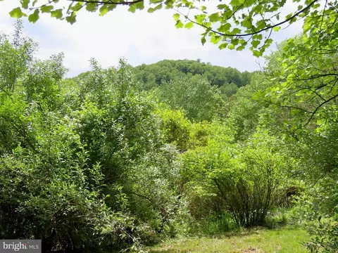 240 Whorton Hollow Rd, Castleton, VA 22716 photo 7