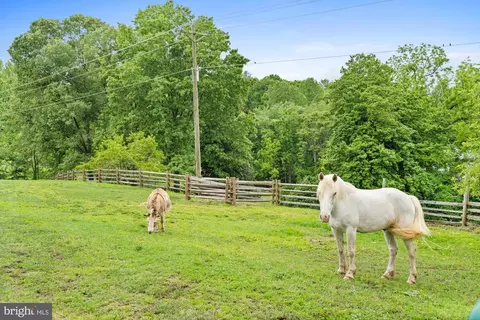 501 Richmond Rd, Castleton, VA 22716 photo 70