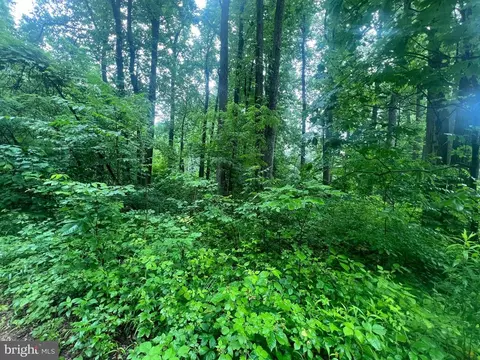 Highland Way, Chester Gap, VA