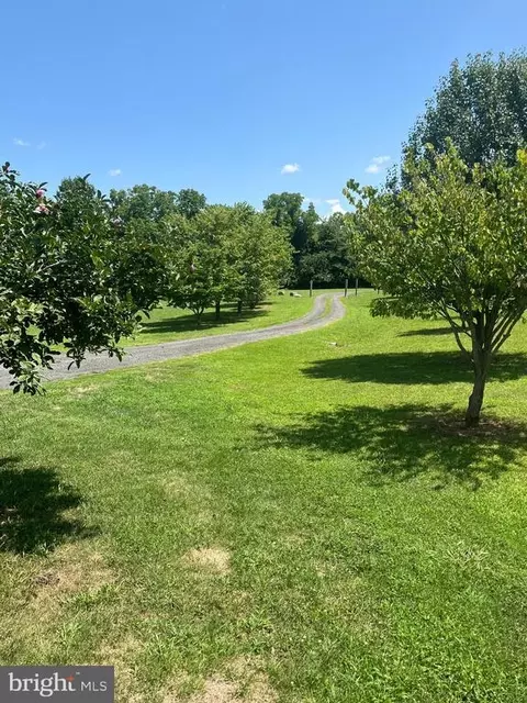 455 Richmond Rd, Castleton, VA 22716 photo 33