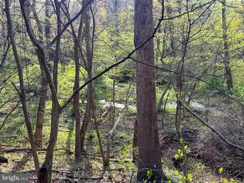 55 Mill Hill Rd, Huntly, VA 22640 photo 30