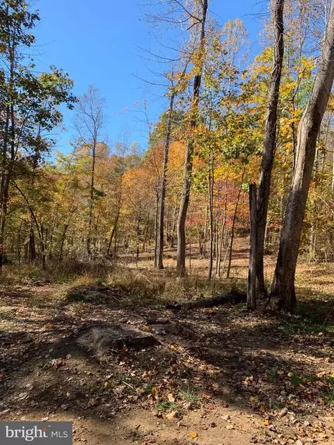 Castleton View Rd, Castleton, VA 22716 photo 2