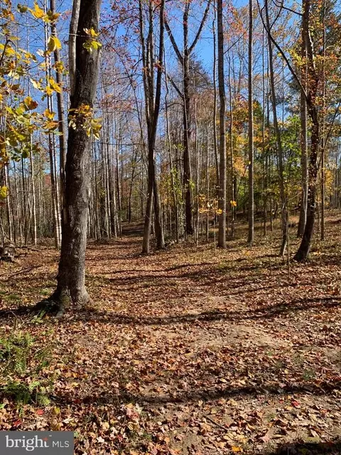 Castleton View Rd, Castleton, VA 22716