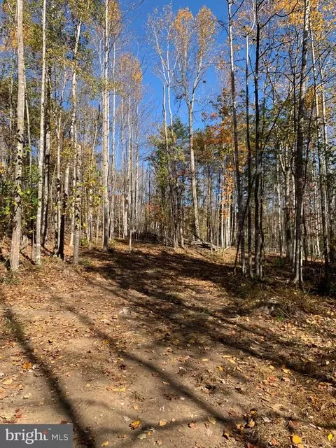 Castleton View Rd, Castleton, VA 22716 photo 3