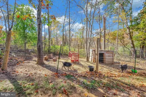 4 Victory Ln, Castleton, VA 22716 photo 49