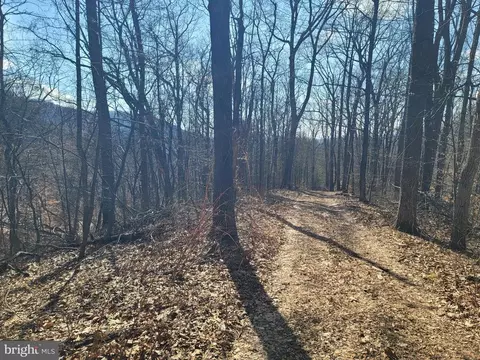Wolf Mountain Ln, Washington, VA