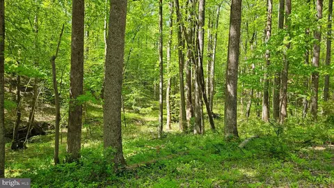 Other - 559 Bessie Bell Mountain Rd, Castleton, VA 22716 photo 22 of 24