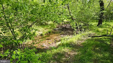 Other - 559 Bessie Bell Mountain Rd, Castleton, VA 22716 photo 20 of 24