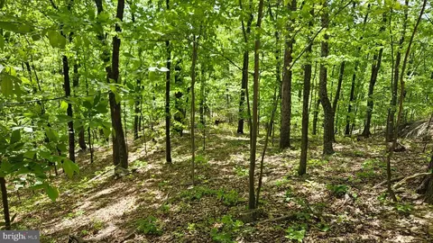 Other - 559 Bessie Bell Mountain Rd, Castleton, VA 22716 photo 24 of 24