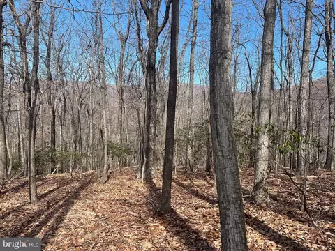 Crimm's Run Lane, Washington, VA