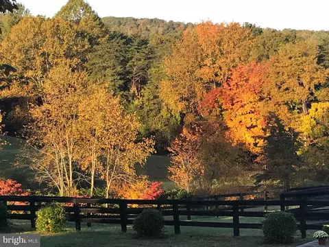 509 Castleton Ford Rd, Castleton, VA 22716 photo 8