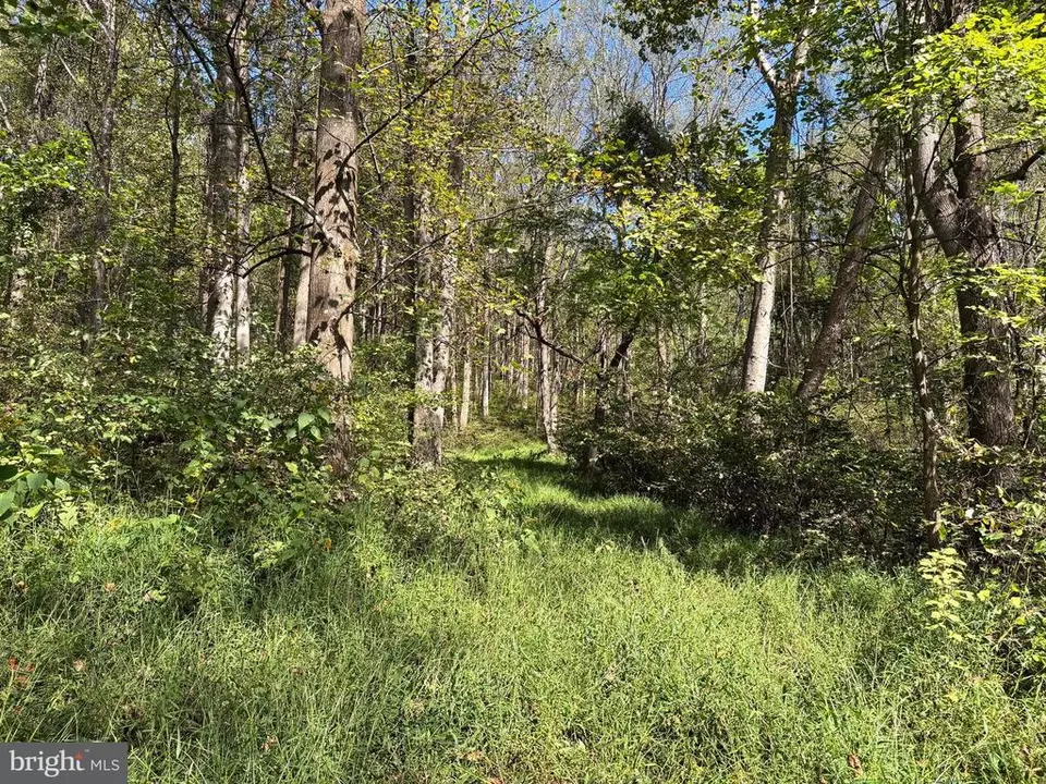  0 Harris Hollow Rd, Washington, VA photo 5