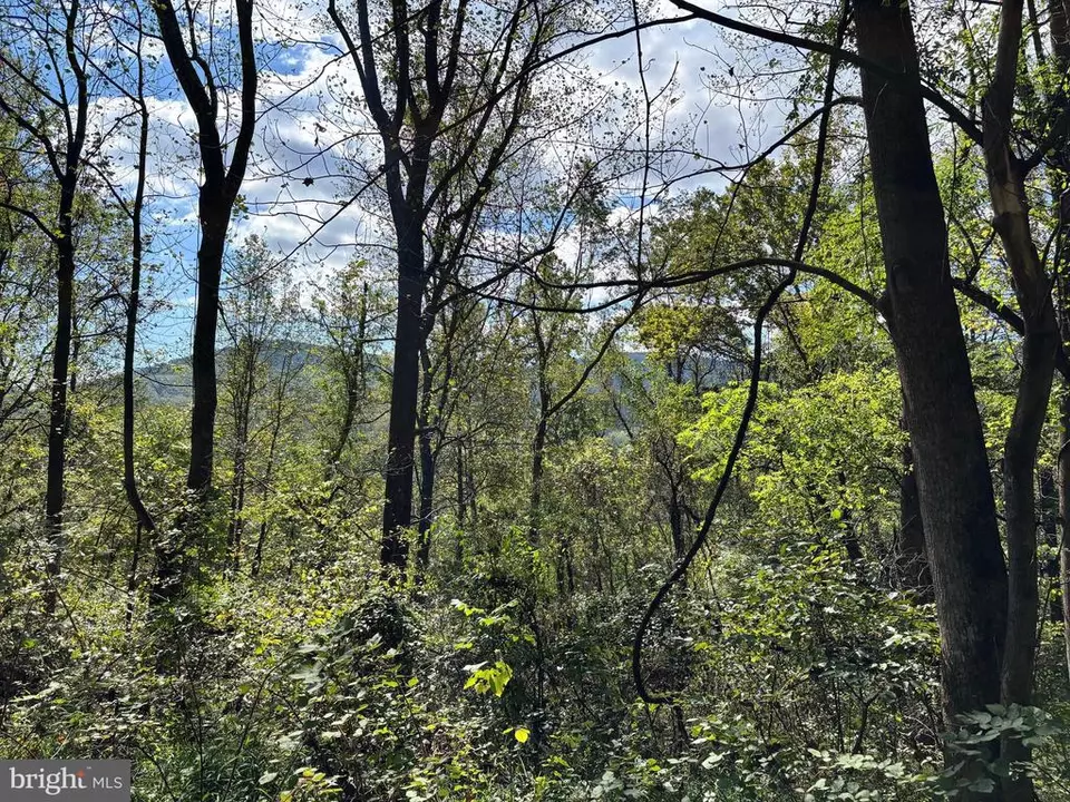  0 Harris Hollow Rd, Washington, VA photo 2