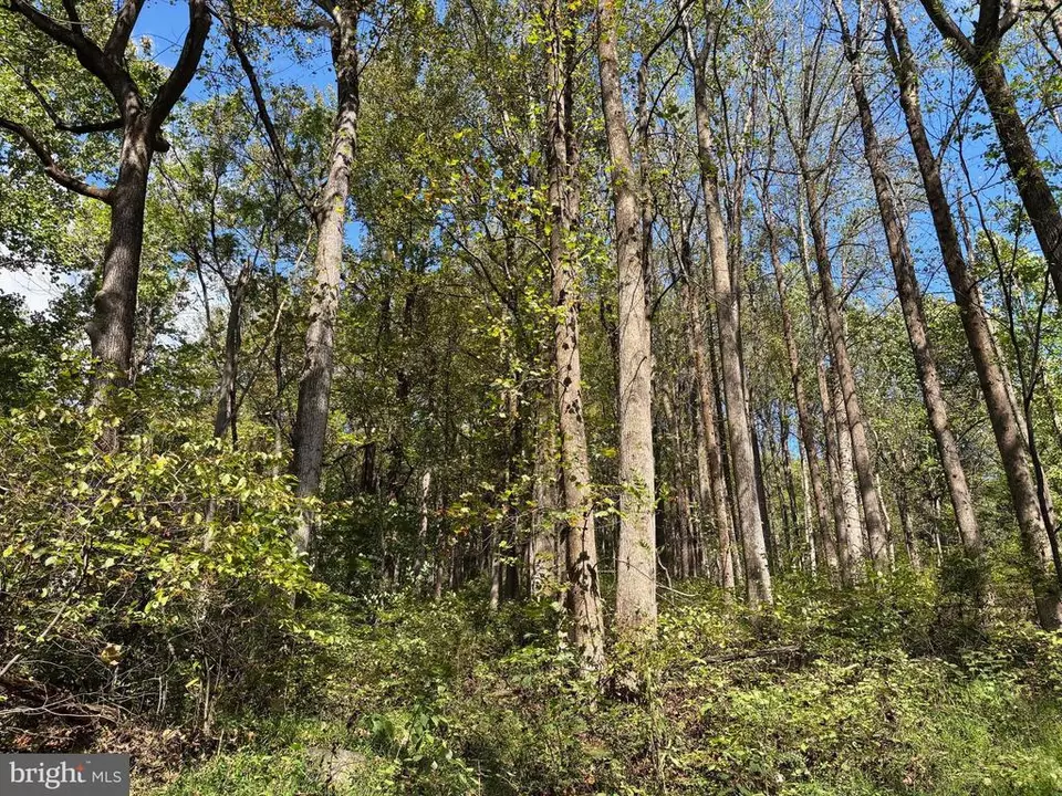  0 Harris Hollow Rd, Washington, VA photo 6