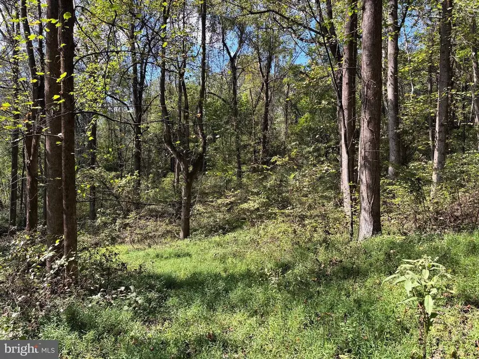  0 Harris Hollow Rd, Washington, VA photo 4