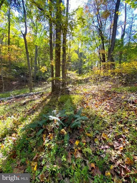 0 Castleton View Rd, Castleton, VA 22716 photo 14