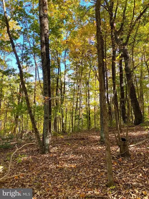 0 Castleton View Rd, Castleton, VA 22716 photo 24