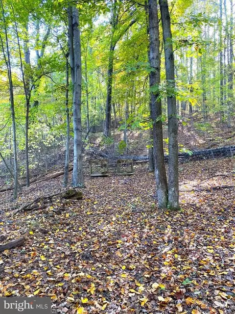 0 Castleton View Rd, Castleton, VA 22716 photo 25