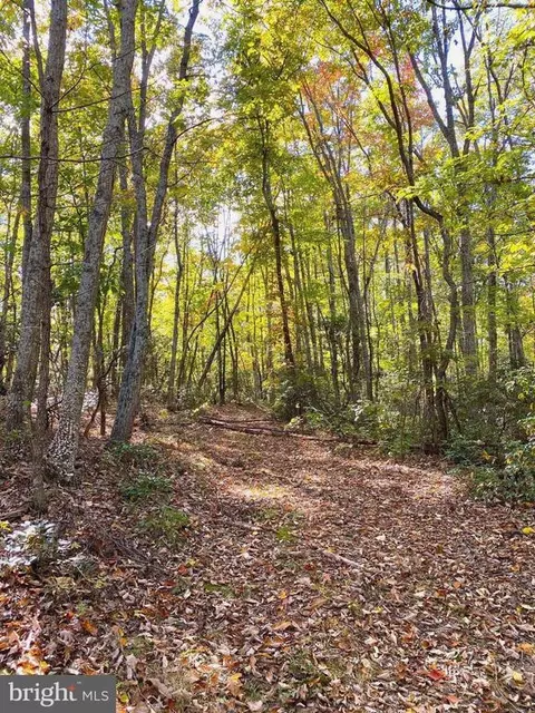 0 Castleton View Rd, Castleton, VA 22716 photo 23