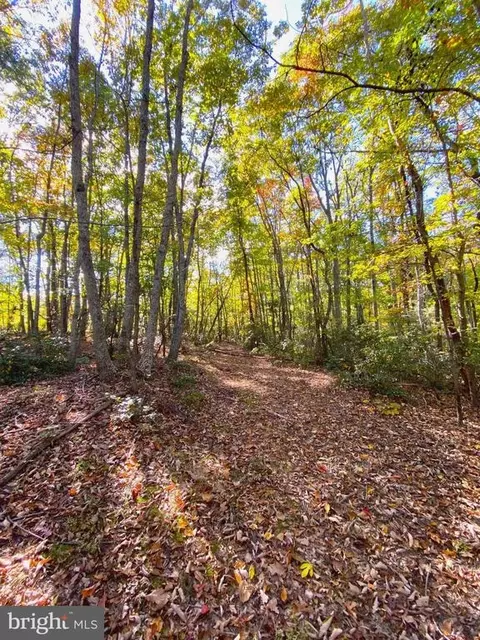 0 Castleton View Rd, Castleton, VA 22716 photo 21