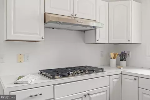 Other - 274 Aaron Mountain Rd, Castleton, VA 22716 photo 5 of 27