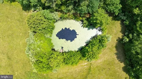 View/Area - 274 Aaron Mountain Rd, Castleton, VA 22716 photo 6 of 8