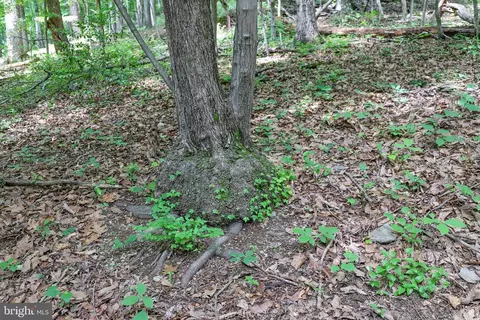 Comptons Rd, Castleton, VA 22716 photo 21