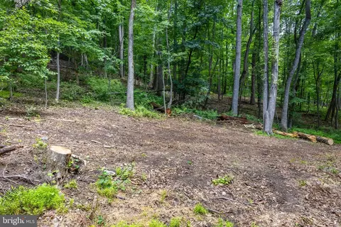 Comptons Rd, Castleton, VA 22716 photo 18