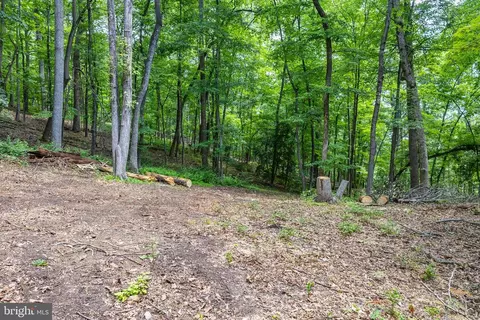 Comptons Rd, Castleton, VA 22716 photo 17