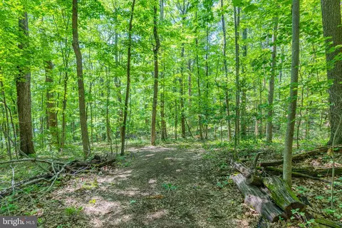 Comptons Rd, Castleton, VA 22716 photo 29