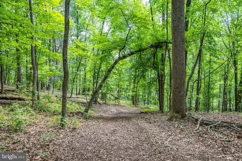 Comptons Rd, Castleton, VA 22716 photo 15