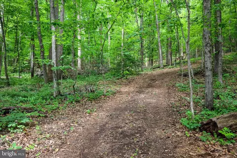 Comptons Rd, Castleton, VA 22716 photo 13