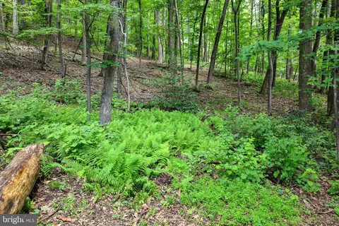 Comptons Rd, Castleton, VA 22716 photo 16