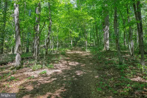 Comptons Rd, Castleton, VA 22716 photo 30