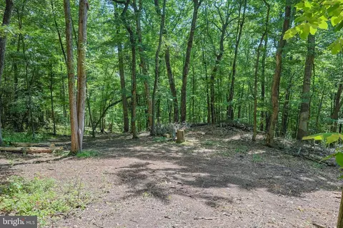 Comptons Rd, Castleton, VA 22716 photo 10