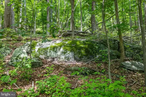 Comptons Rd, Castleton, VA 22716 photo 23